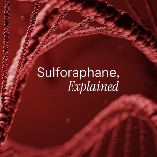 Eat Your Broccoli: The Sulforaphane Buzz Explained