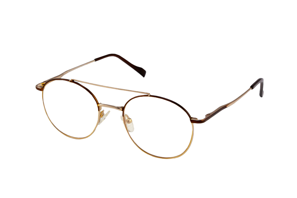 Chester Computer Glasses Angled View