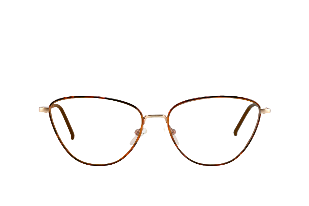 Raye Computer Glasses Front View