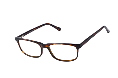 Tortoise Shell Computer Glasses Angled View