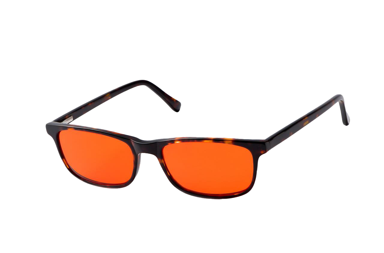 Tortoise Shell Blue Light Blocking Glasses Angled View
